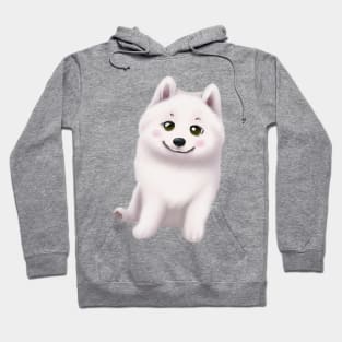 Cute Samoyed Drawing Hoodie